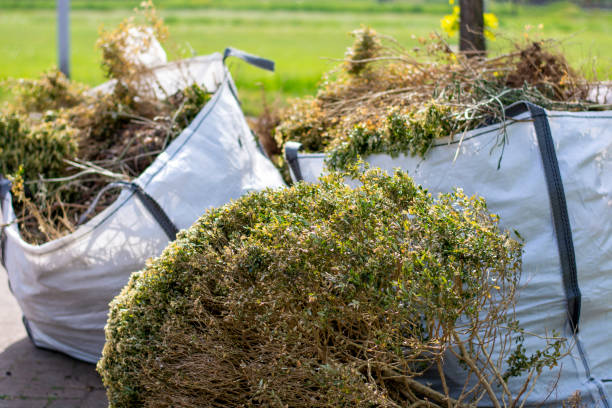 Best Shed Removal  in North Liberty, IA